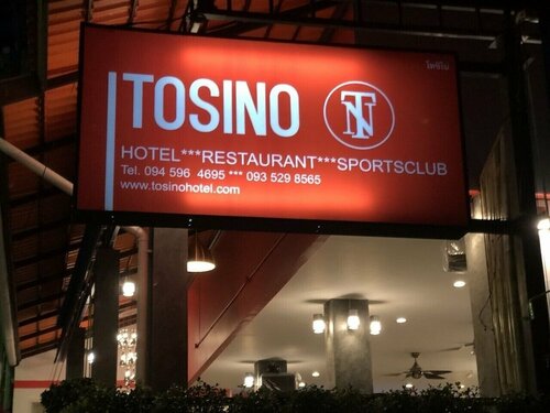 Гостиница Tosino Hotel