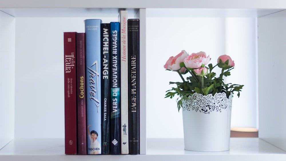 Фото Oporto Near Apartments