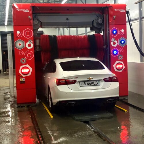 Sargish va dukkakli surat