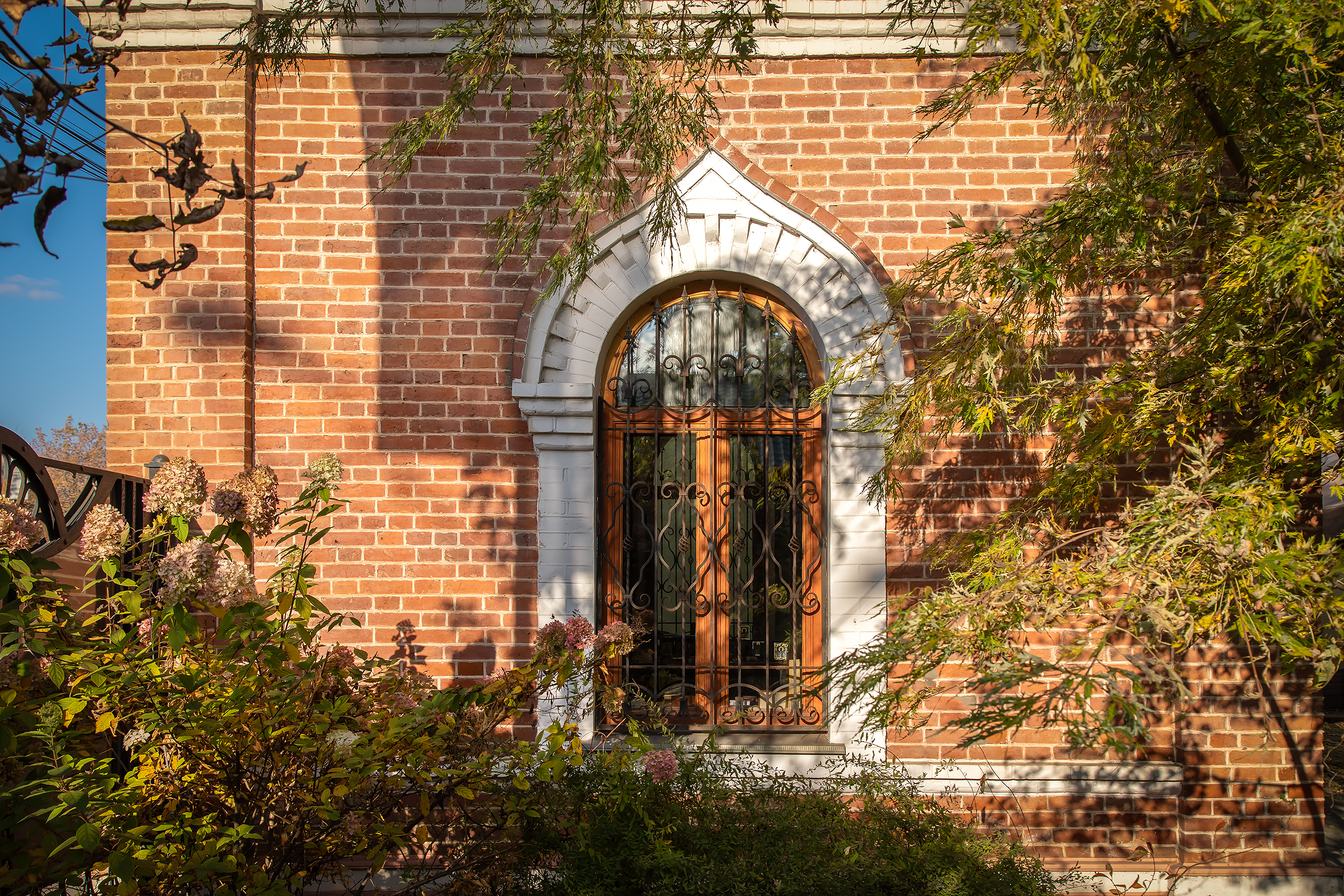 Фото Клевер