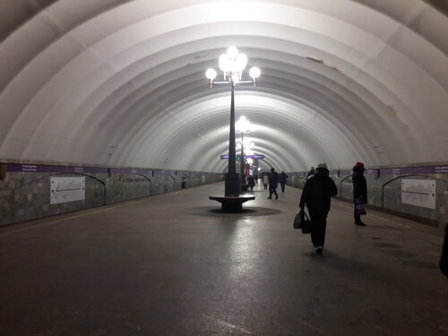 Старая Деревня (Saint Petersburg, Torfyanaya Road, 4), metro station