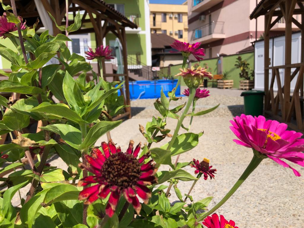 Фото Маэстро