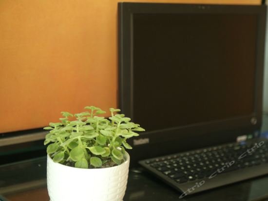 Фото Jinjiang Inn Weihai Rongcheng Chengshan Avenue High-Speed Railway Station