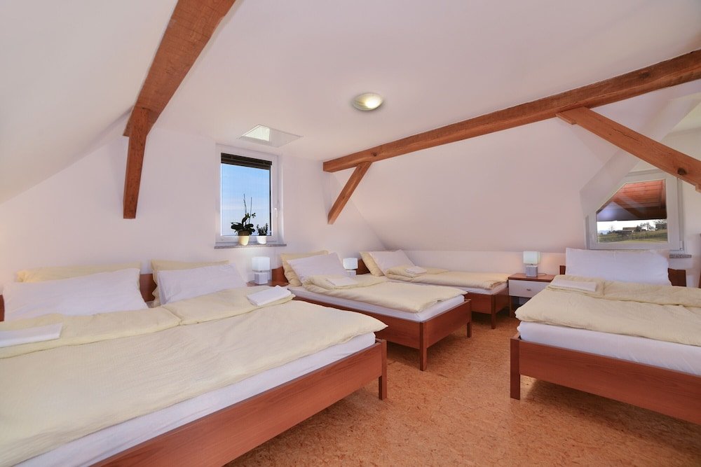 Фото Apartments Vinska Trta