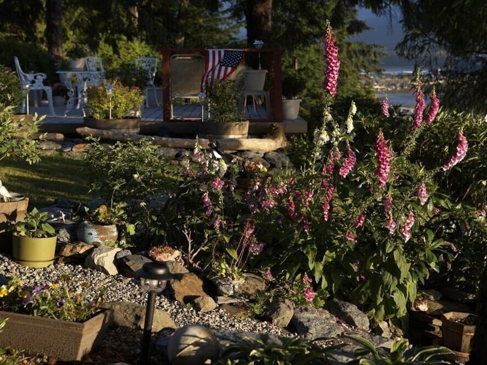 Фото Black Bear Inn