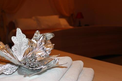 Фото Барракуда