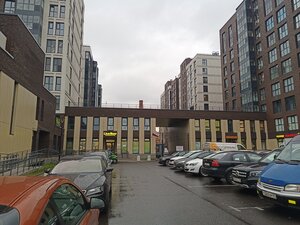 Фон Эбелинг Лиговский