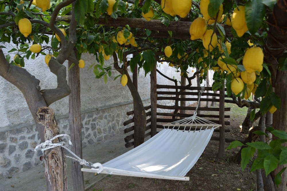 Фото Orto Paradiso