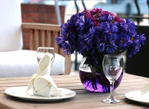 Гостиница Hotel Regency Suites La Feria