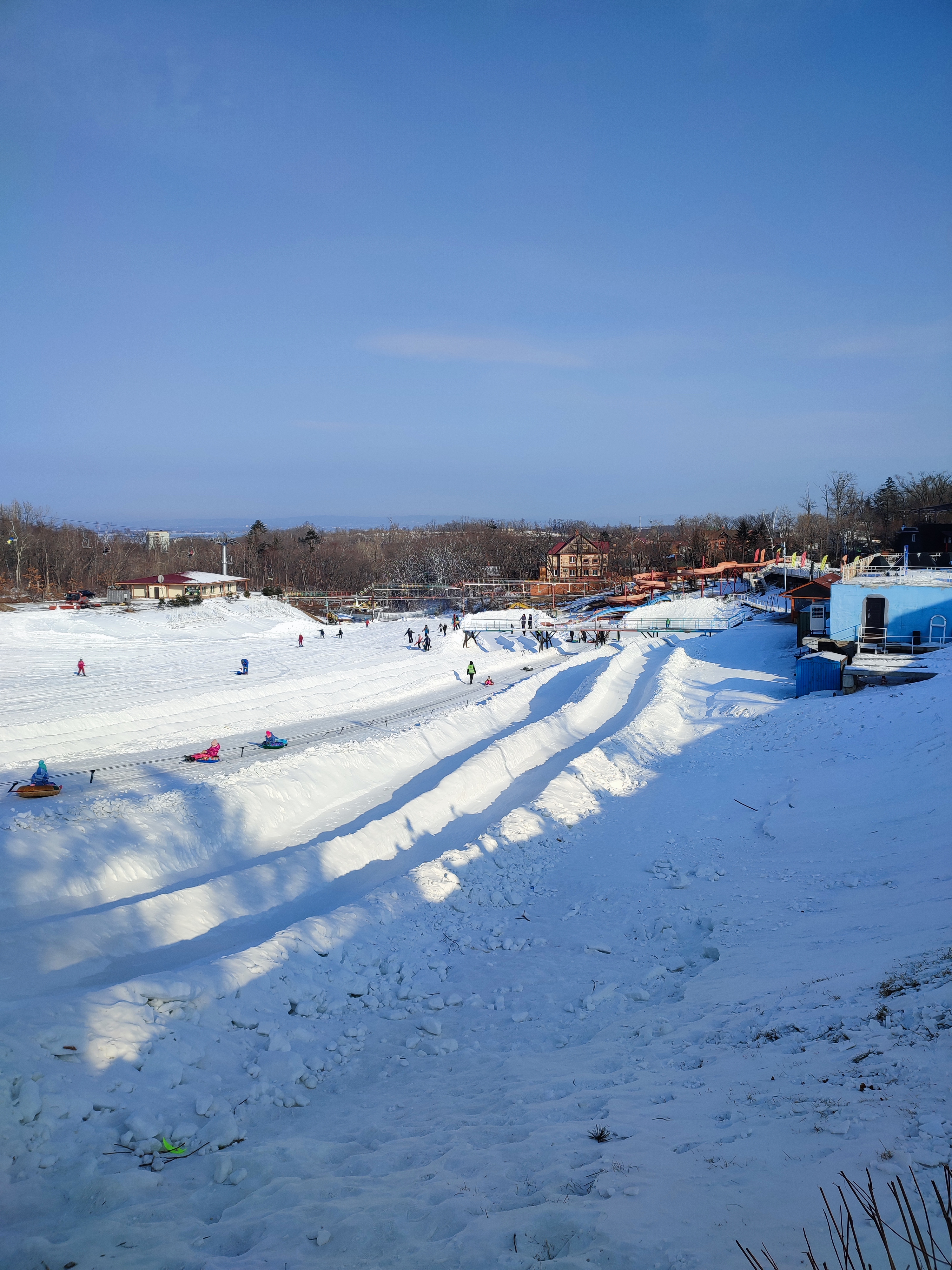 Фото Лесная поляна