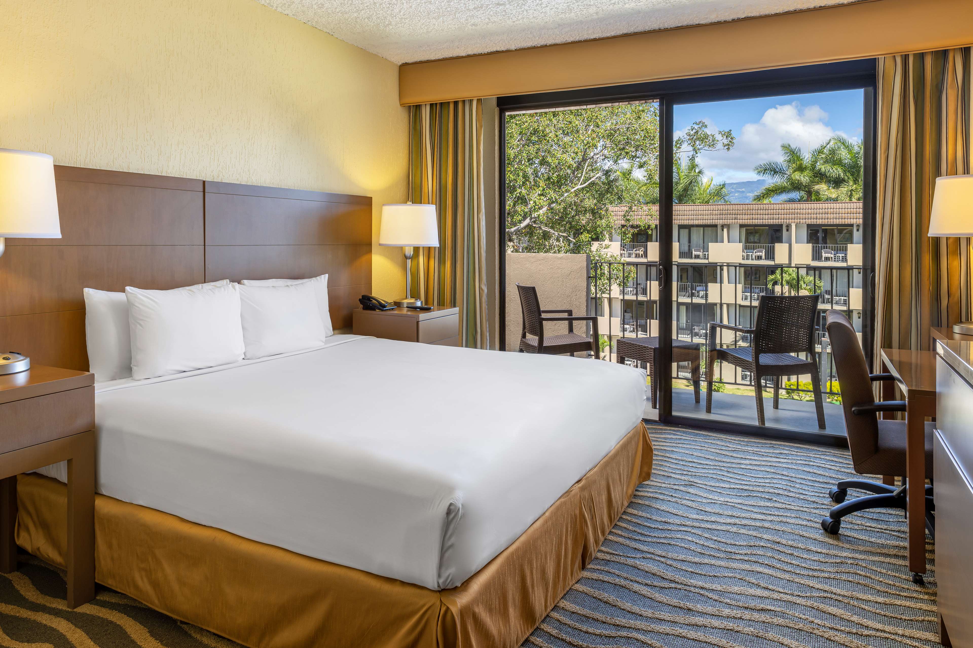 Фото Irazu Hotel & Studios