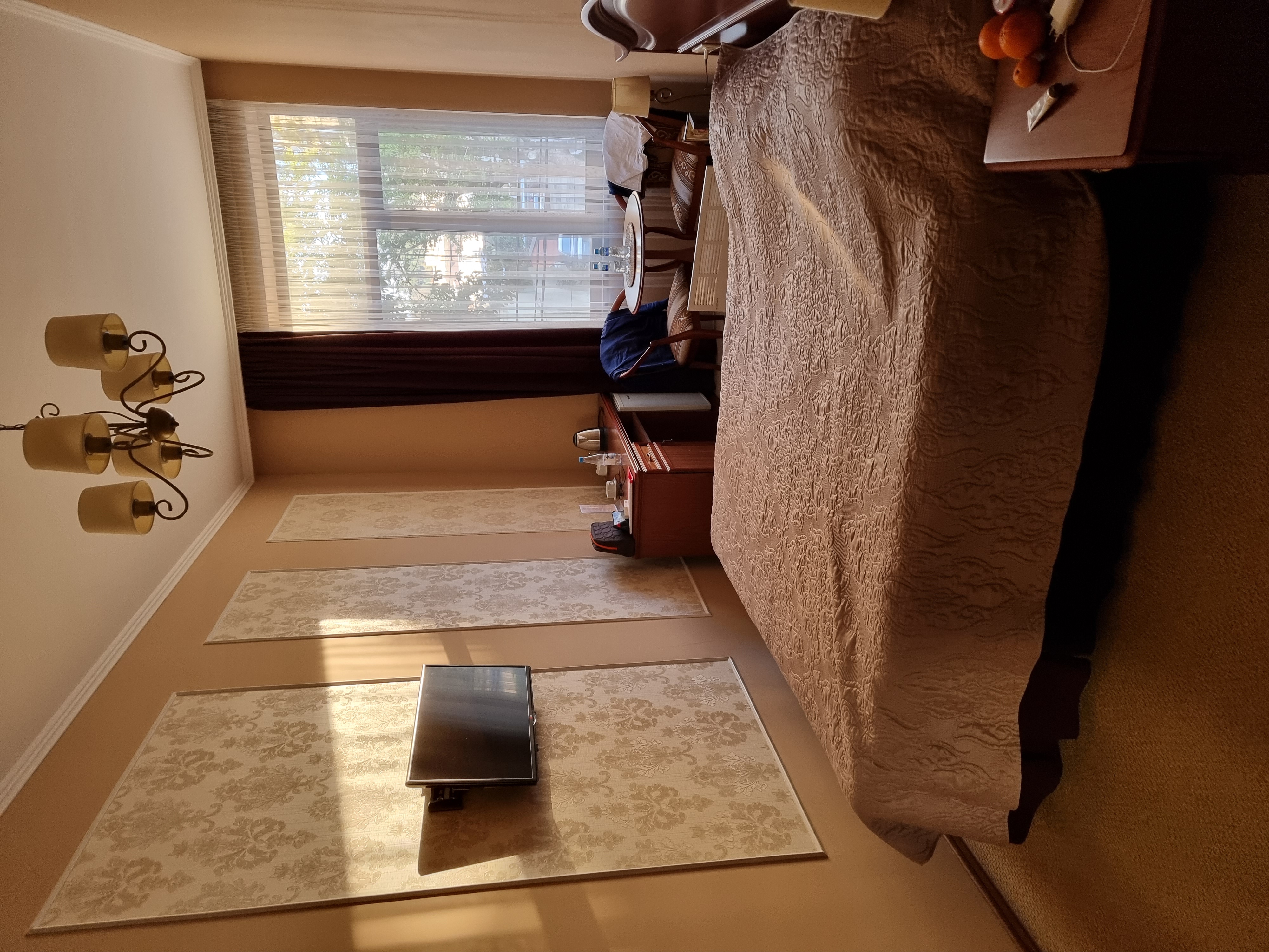 Фото Диоскурия