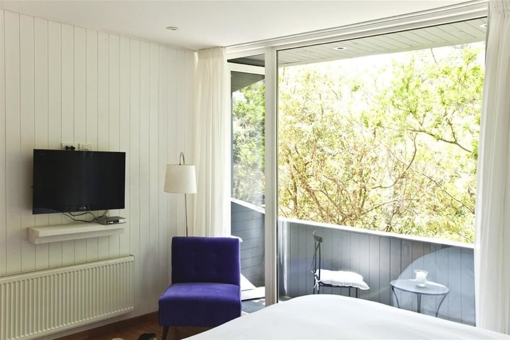 Фото 219496859918