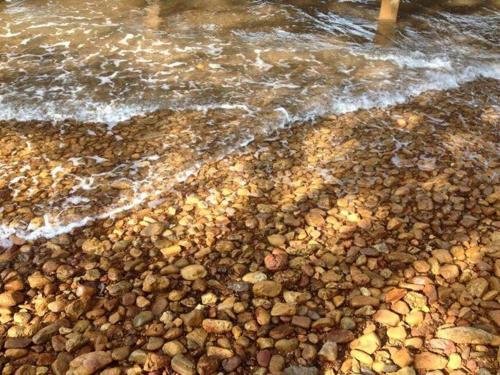 Фото Somphoch Garden