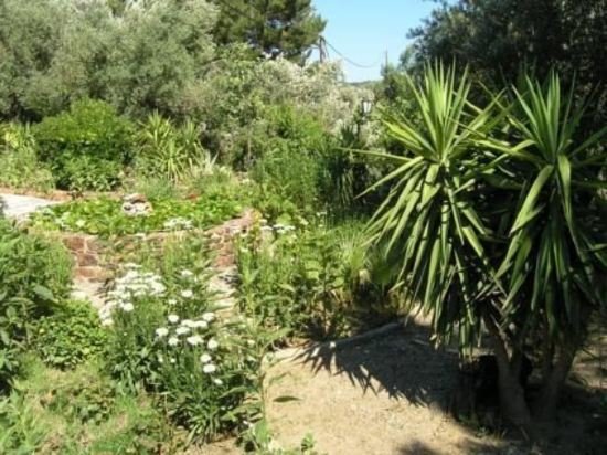 Фото Mytilana Village Hotel