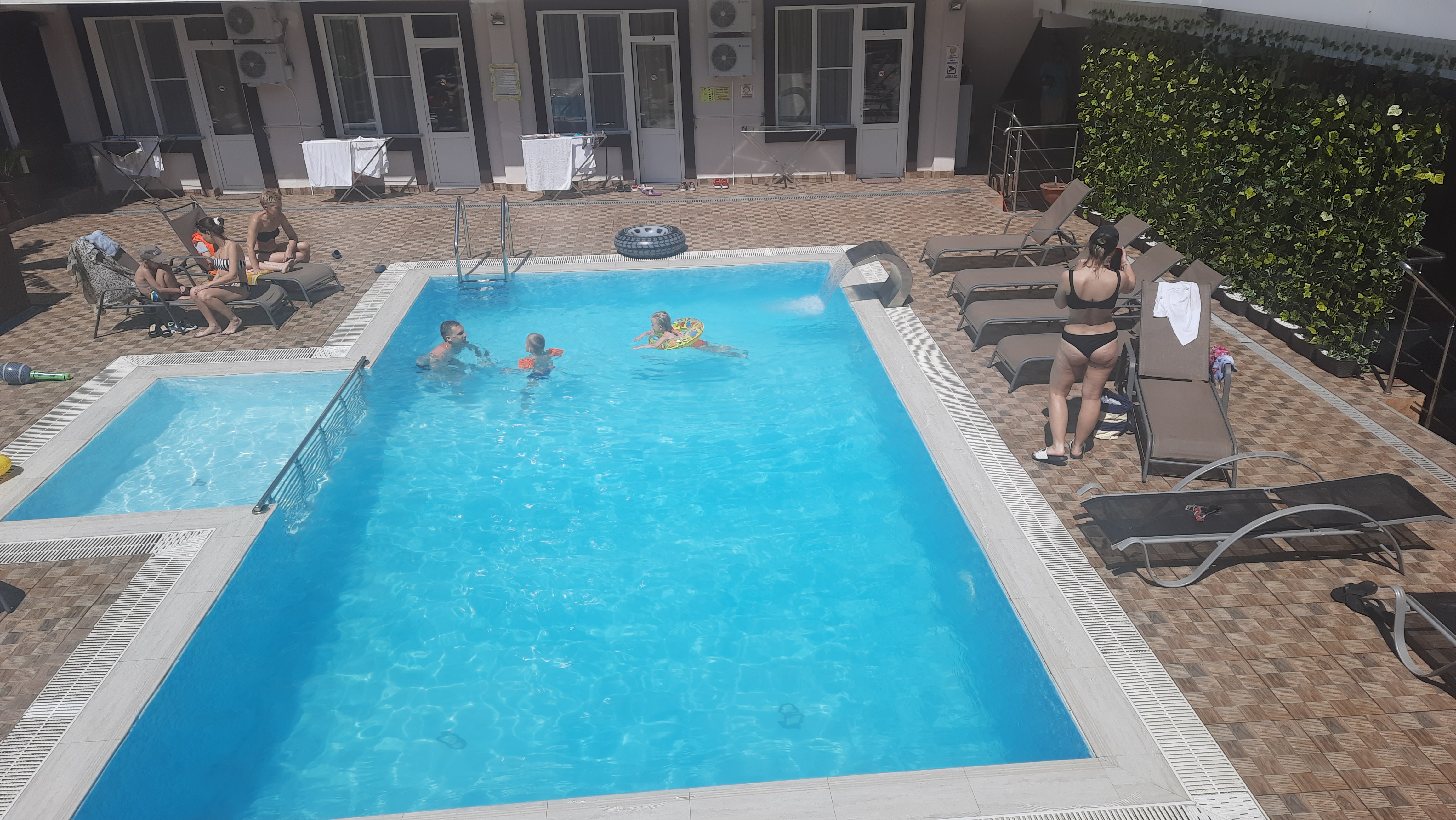 Фото Азалия Мимоза