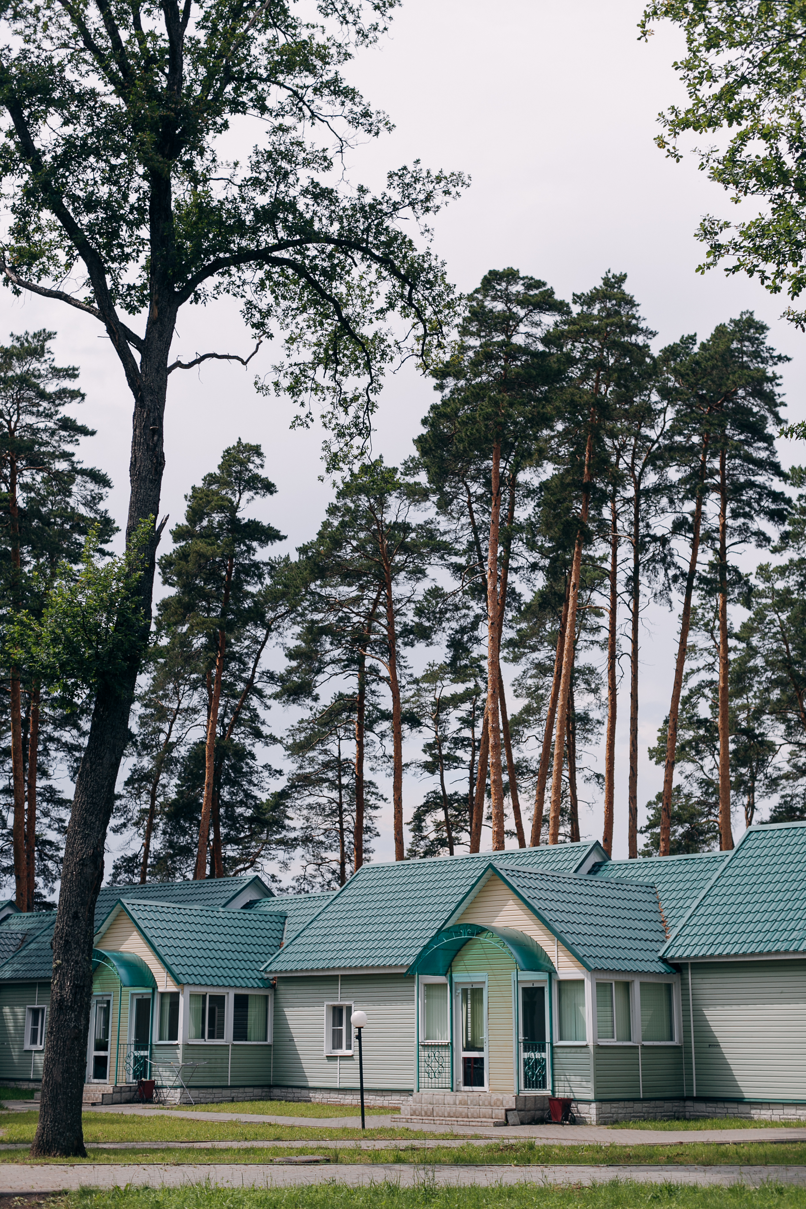 Фото Галдым