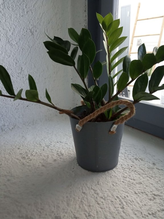 Фото 1812 Caves 'n Mansion