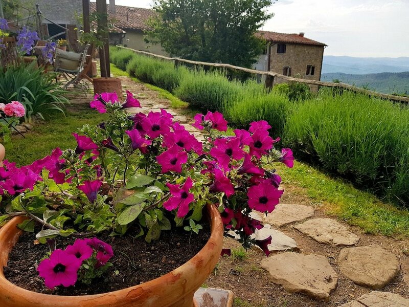 Отдых на ферме Agriturismo La Colombella