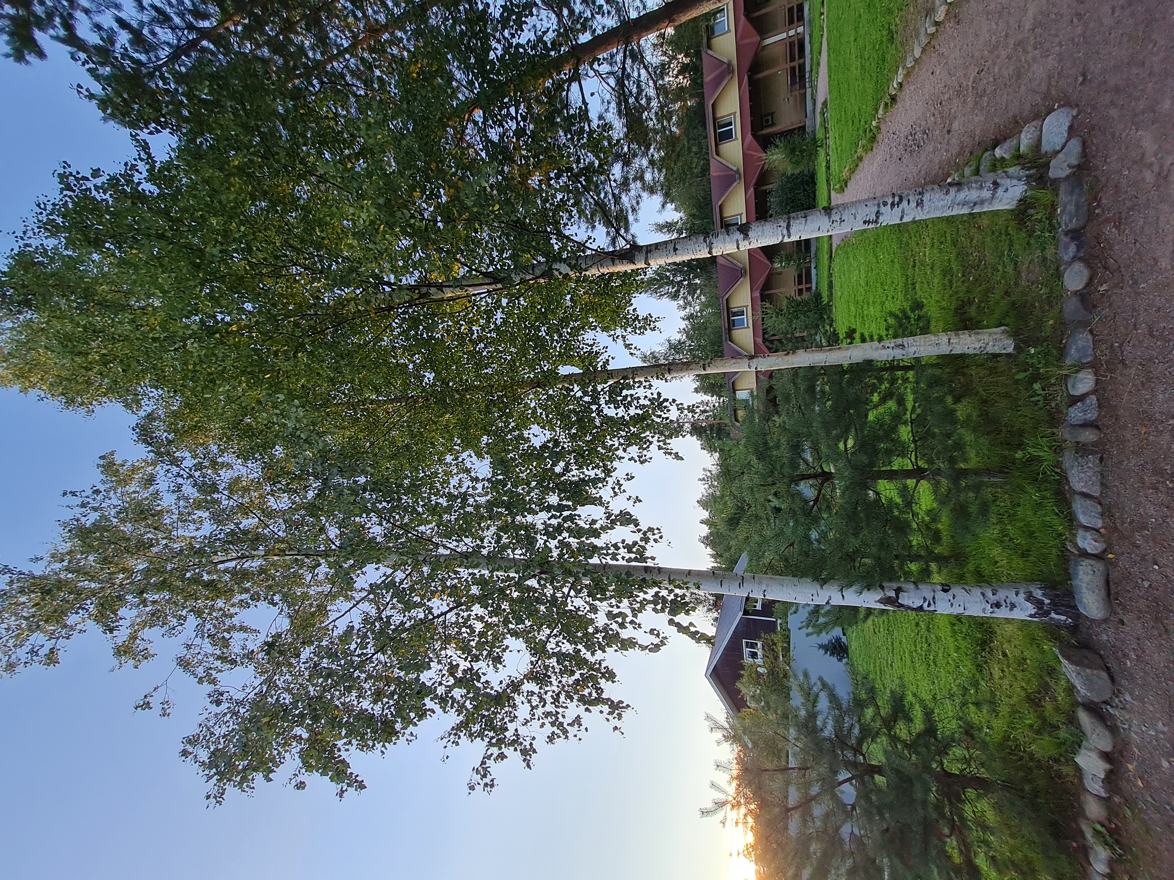 Фото Мичуринский дворик