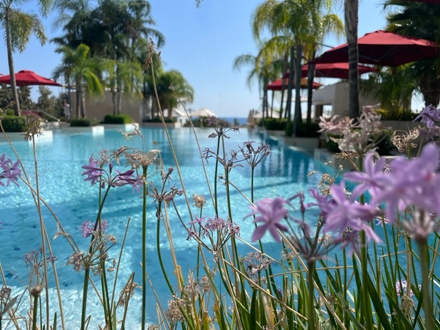Фото Four Seasons Hotel