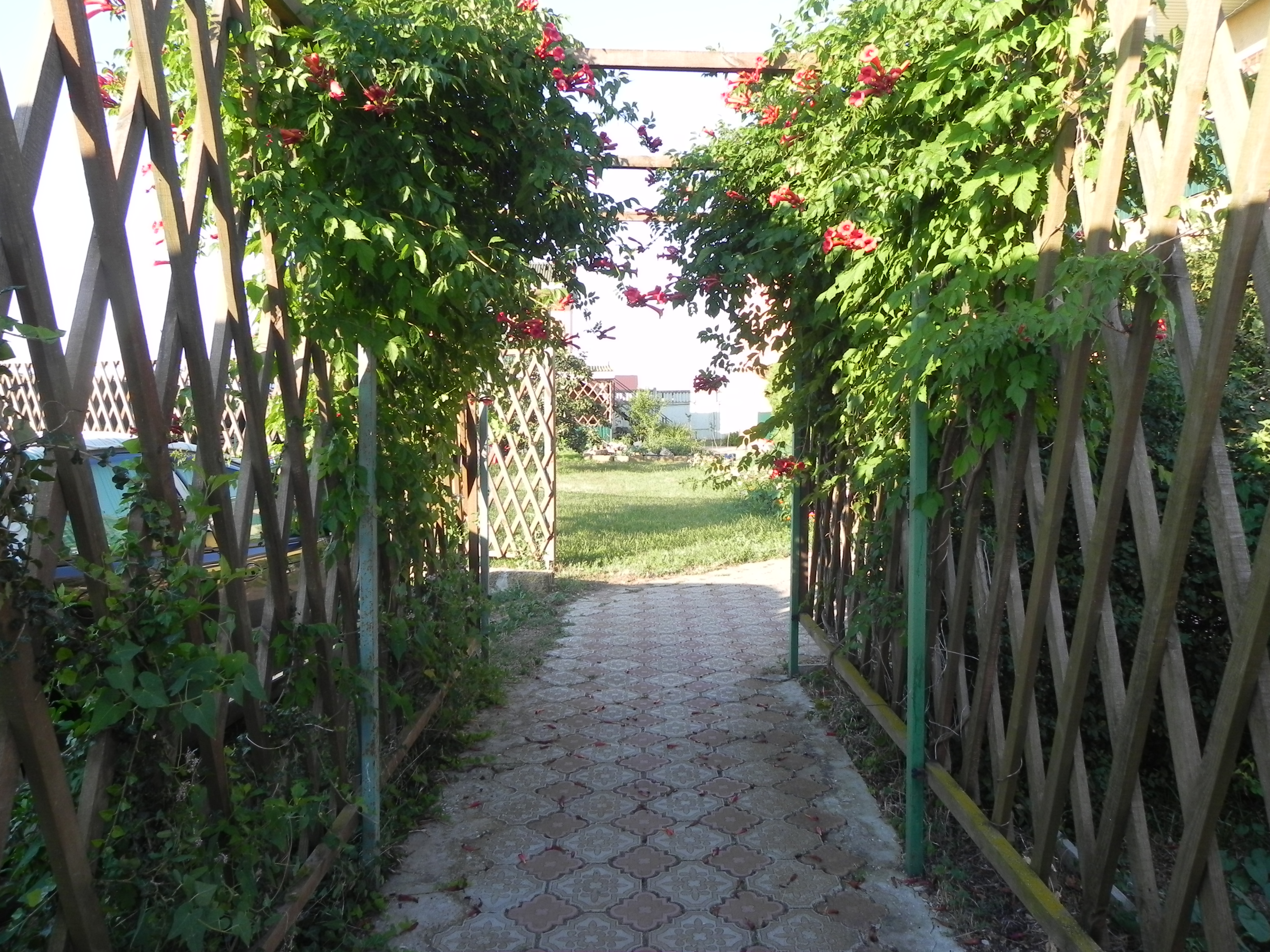 Фото Фанни Вероника