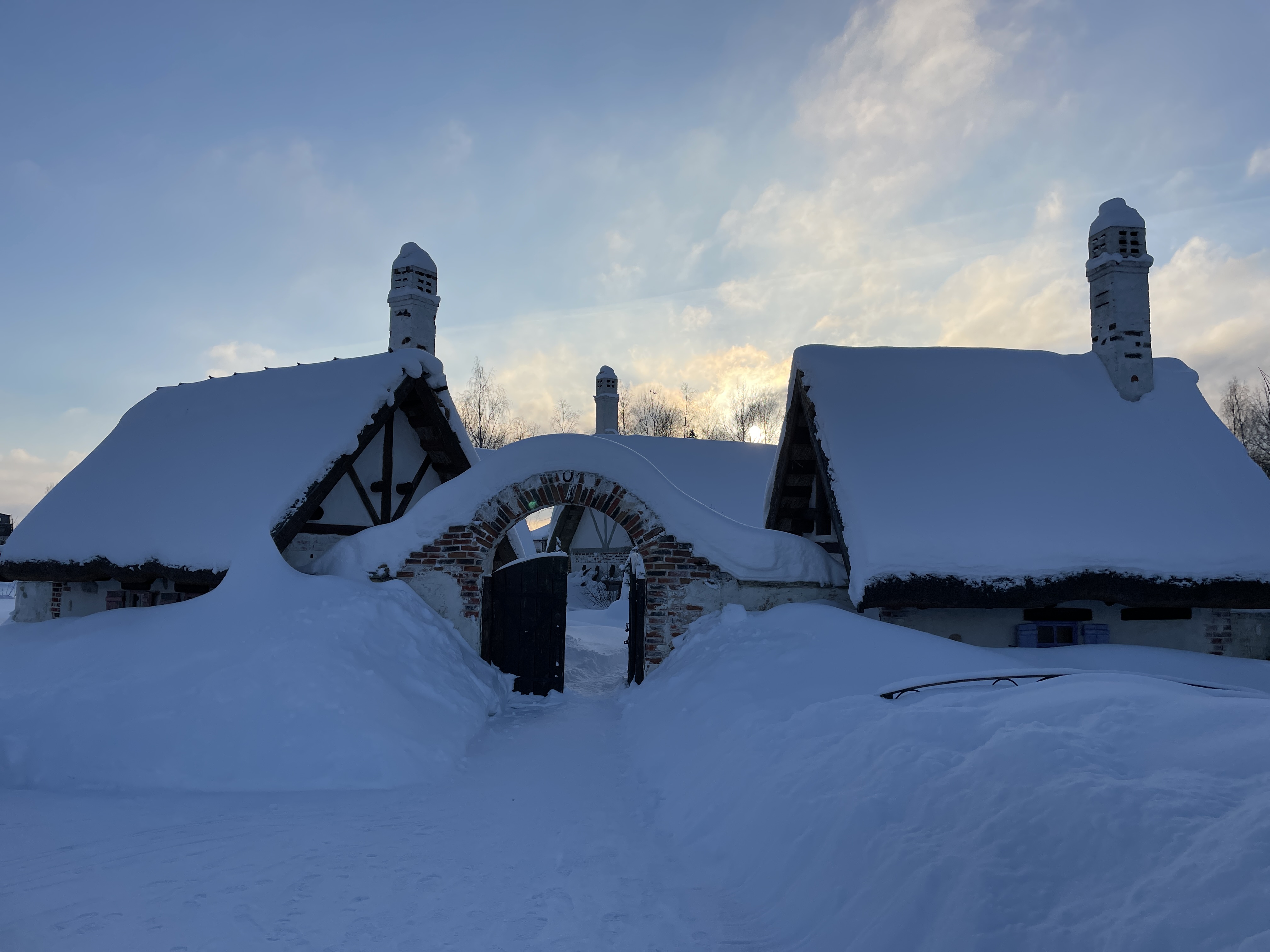 Фото Эко-отель Руза Фэмили парк