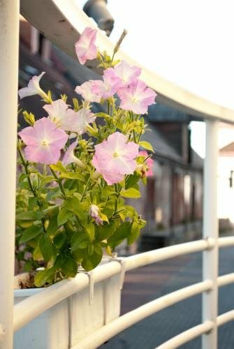 Хостел Hostel Ingeri в Вильянди