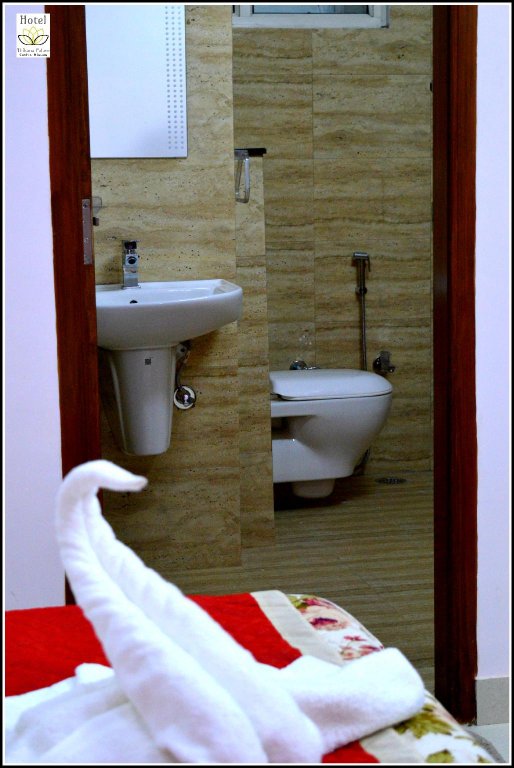 Фото Hotel Thikana Palace