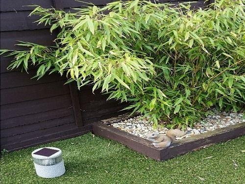 Фото City Centre Guest House - Gloucester Park