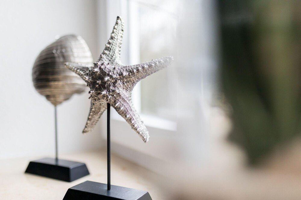 Фото Ferienwohnung 34