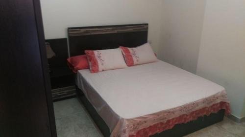 Фото Florenza Khamsin