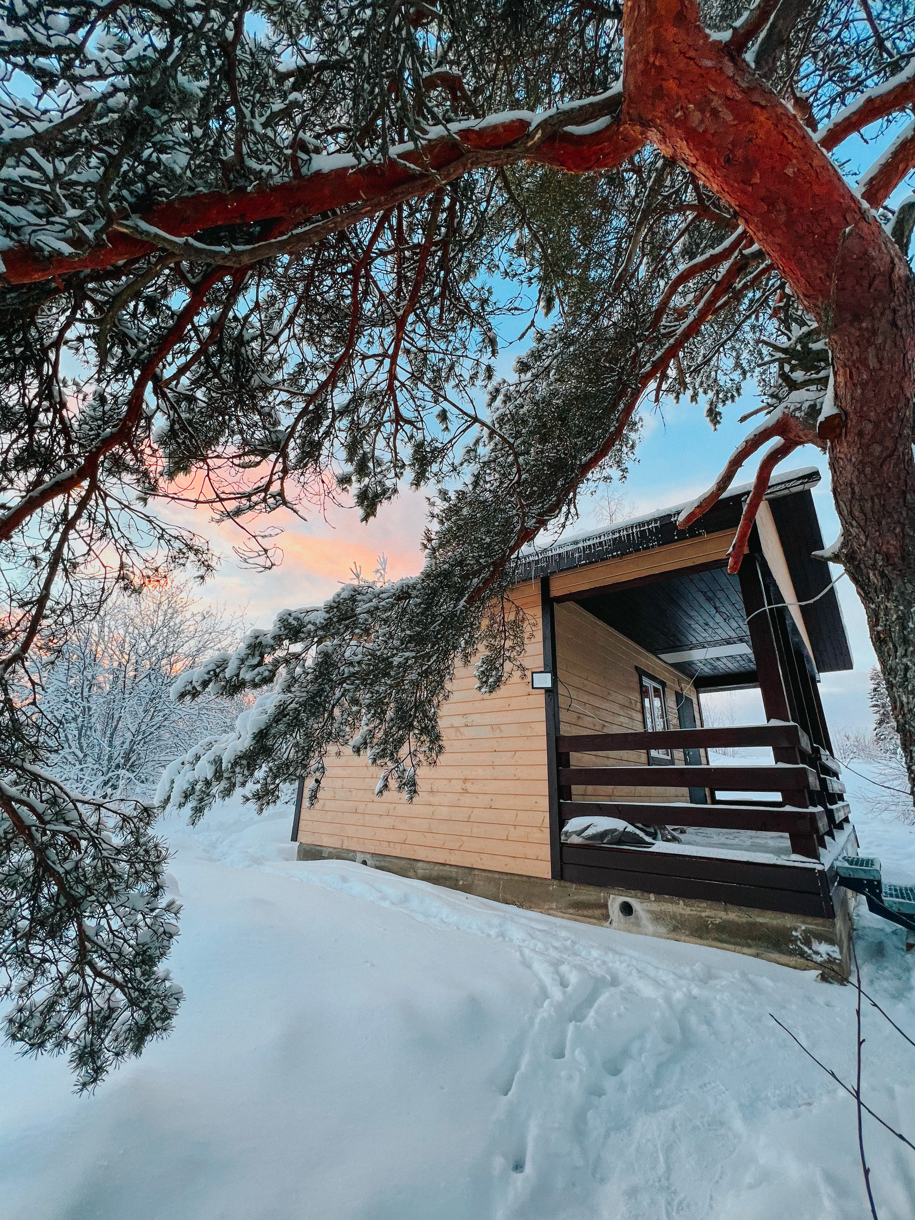 Фото Вилайоки АГРО