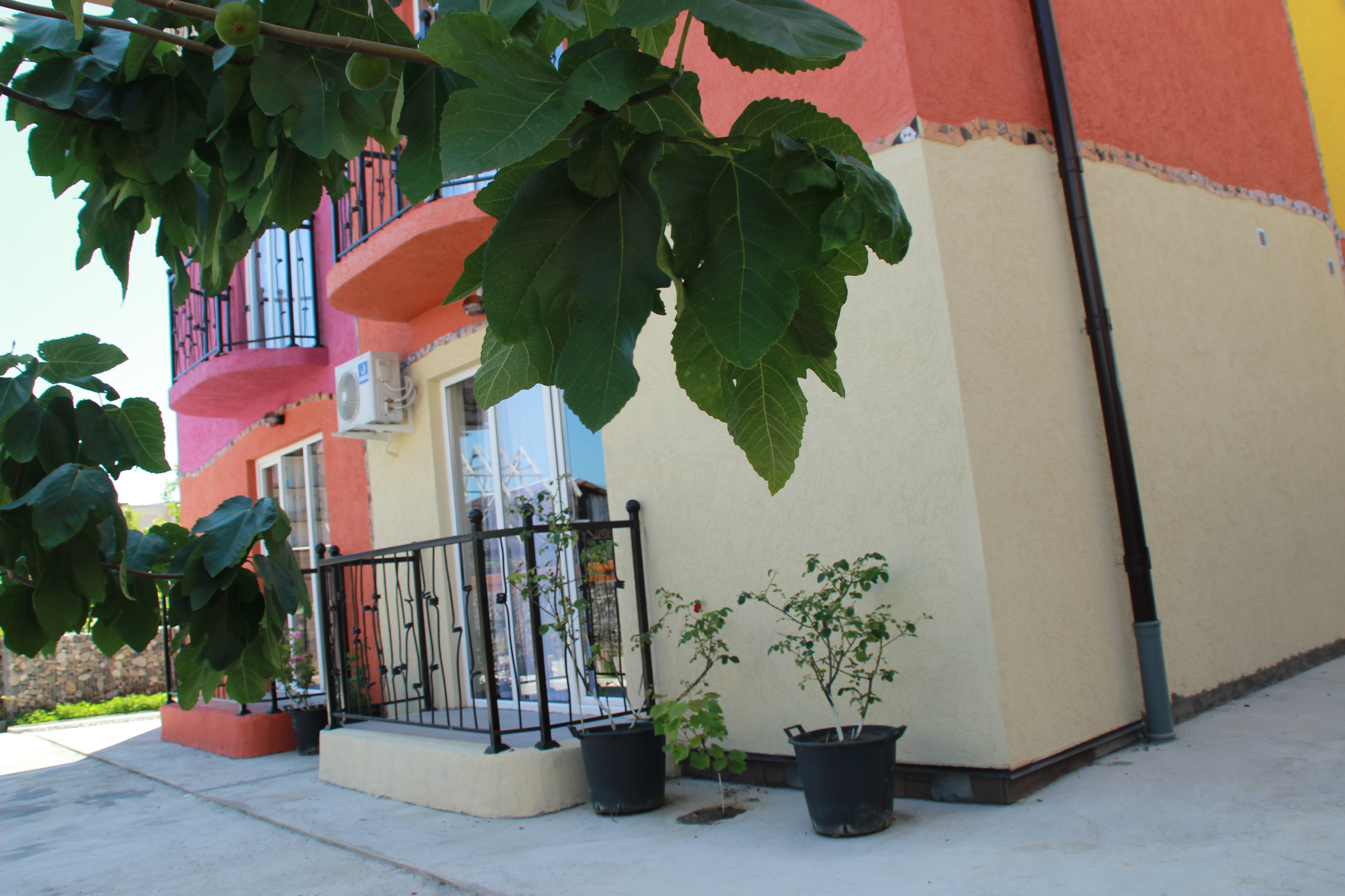 Фото Модерато