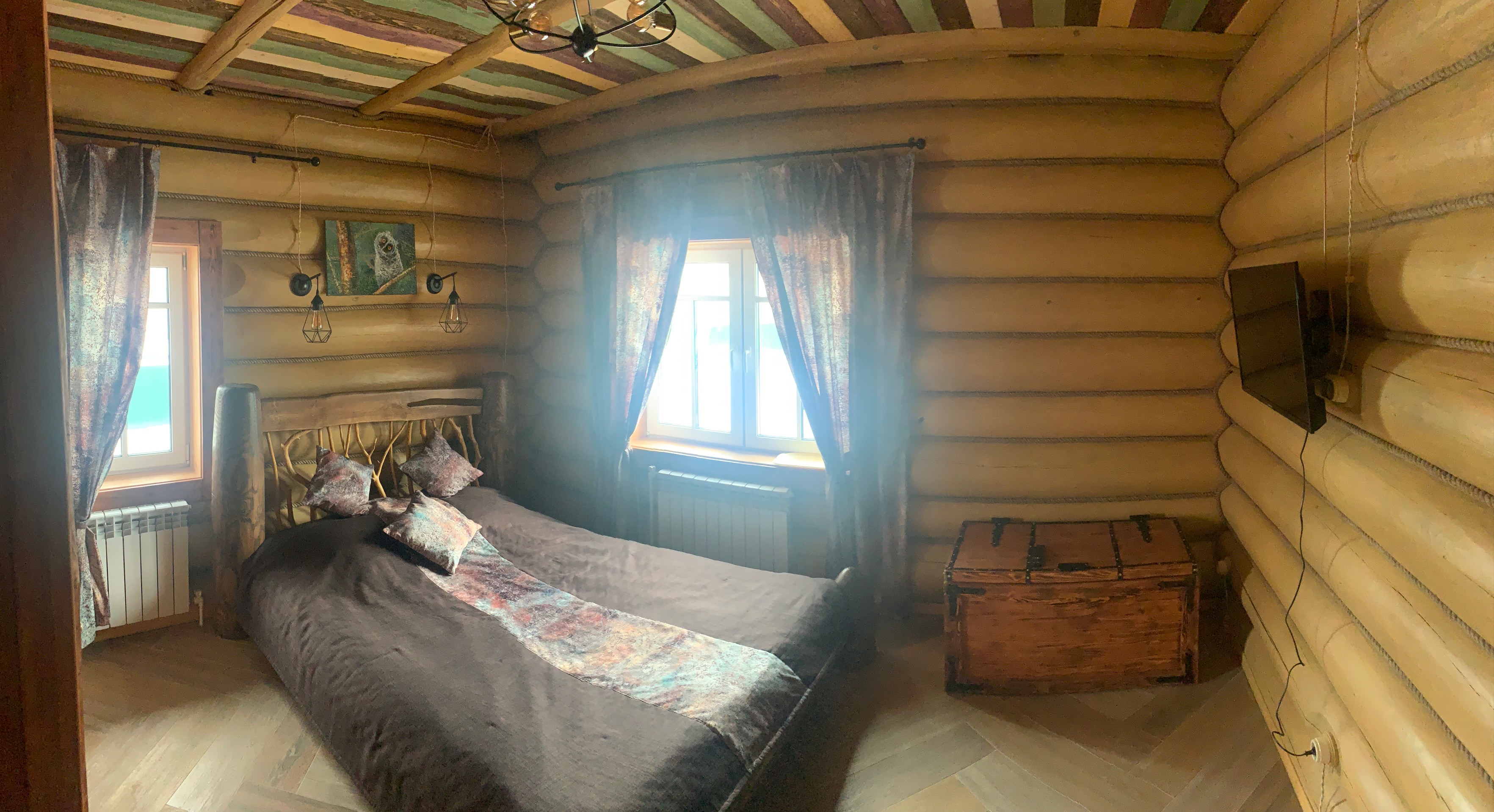 Фото Медоед