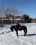 Avinon (derevnya Kartino, ulitsa Novaya Slobodka, 21), horse riding