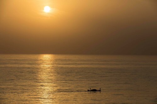 Внешний вид отеля InterContinental Fujairah Resort an Ihg Hotel в Аль-Акаh, фото 2
