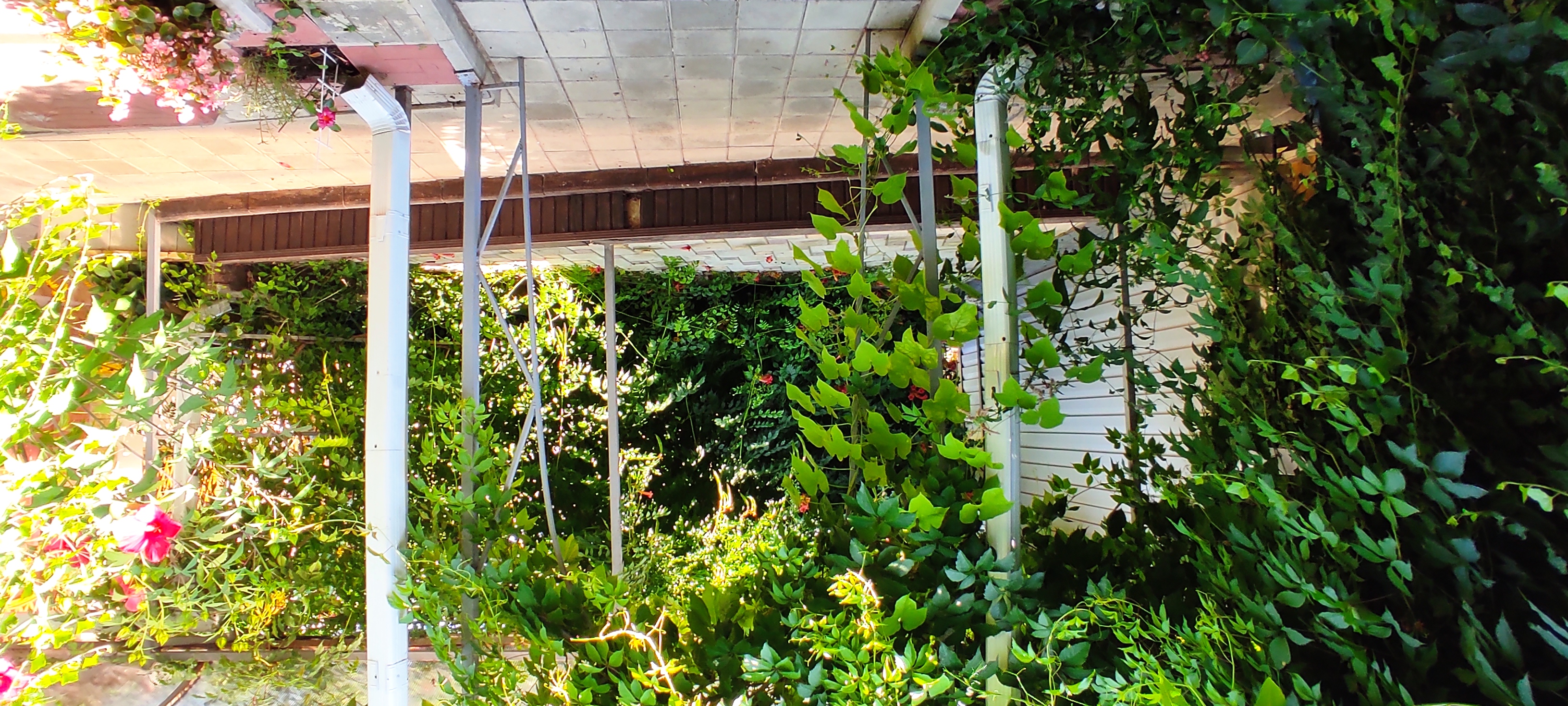 Фото Морское Небо