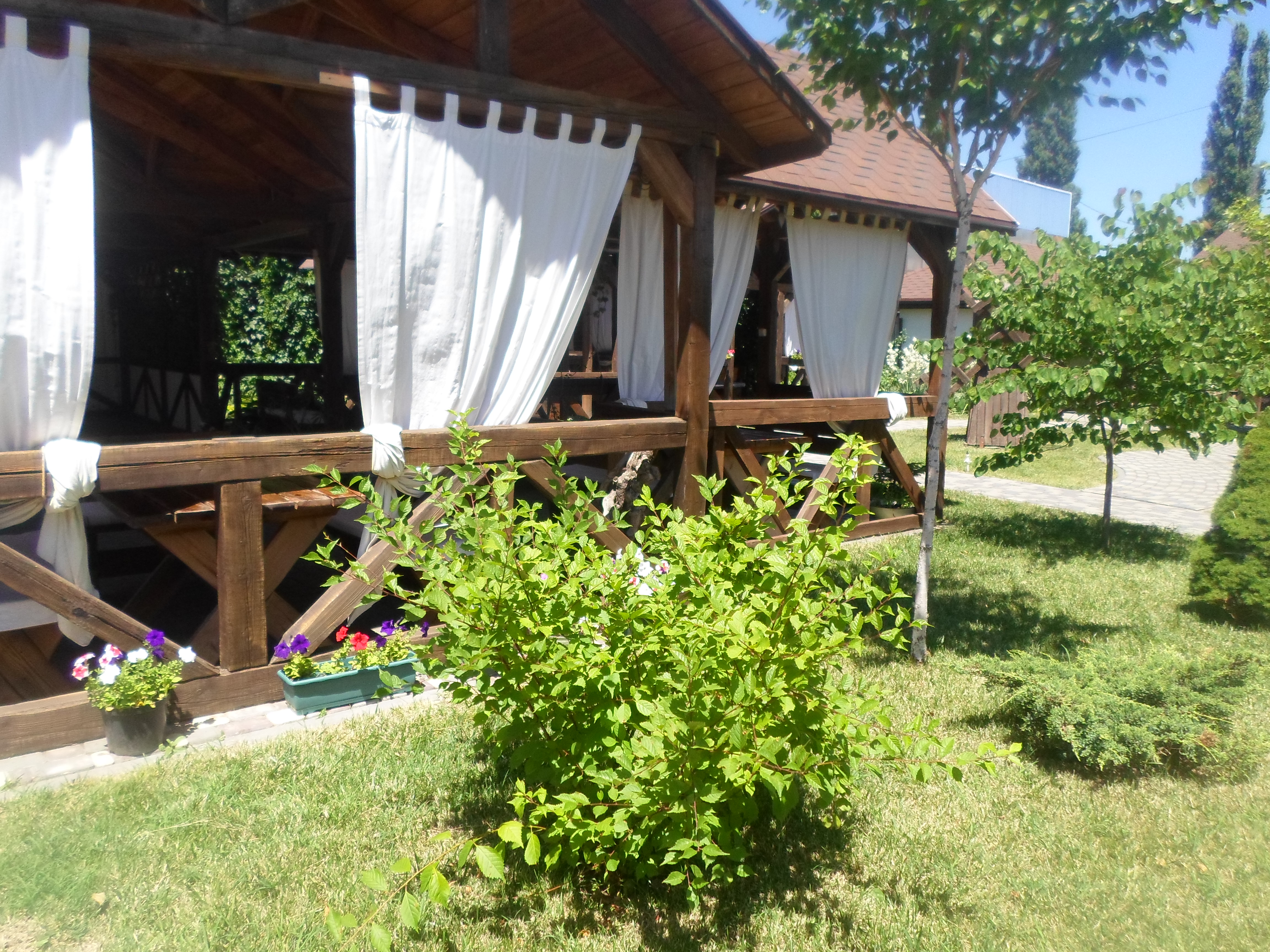 Фото Канцлер