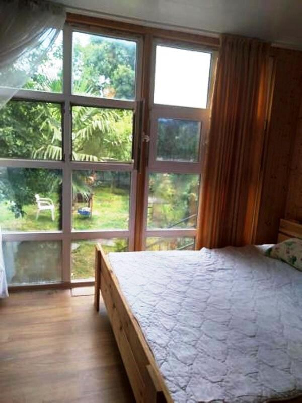 Фото Олеандр