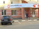 Autodoc.ru (Петровская ул., 63), магазин автозапчастей и автотоваров в Энгельсе