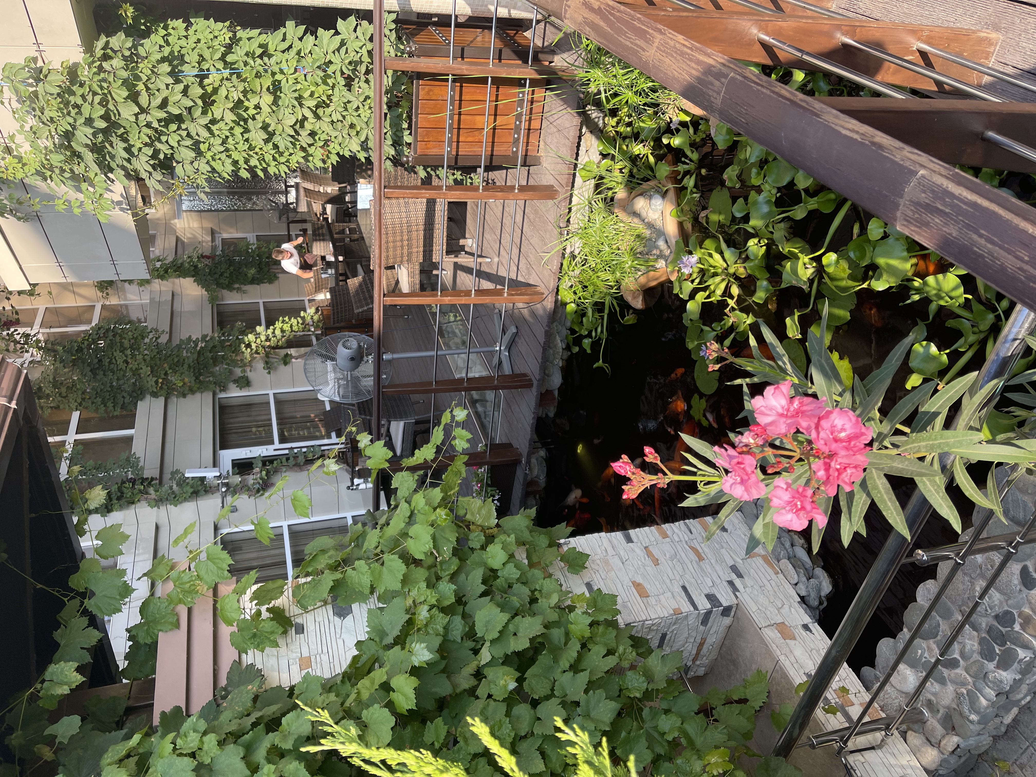 Фото Бельведер