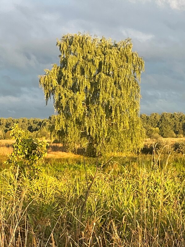 База отдыха Ючмер — фото 17