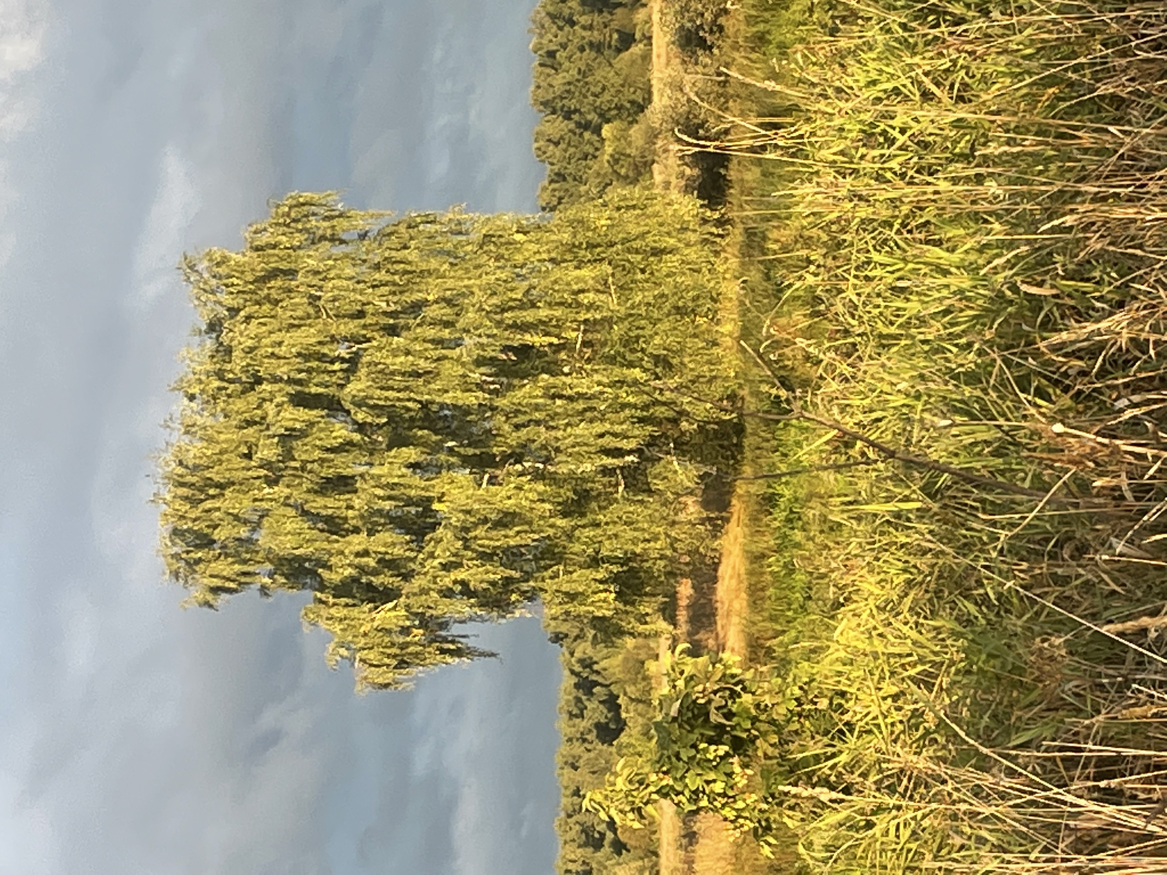 Фото База отдыха Ючмер