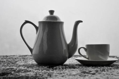 Фото The Wanderers Nest