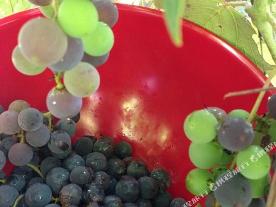 Фото Little House Nashville by Redawning