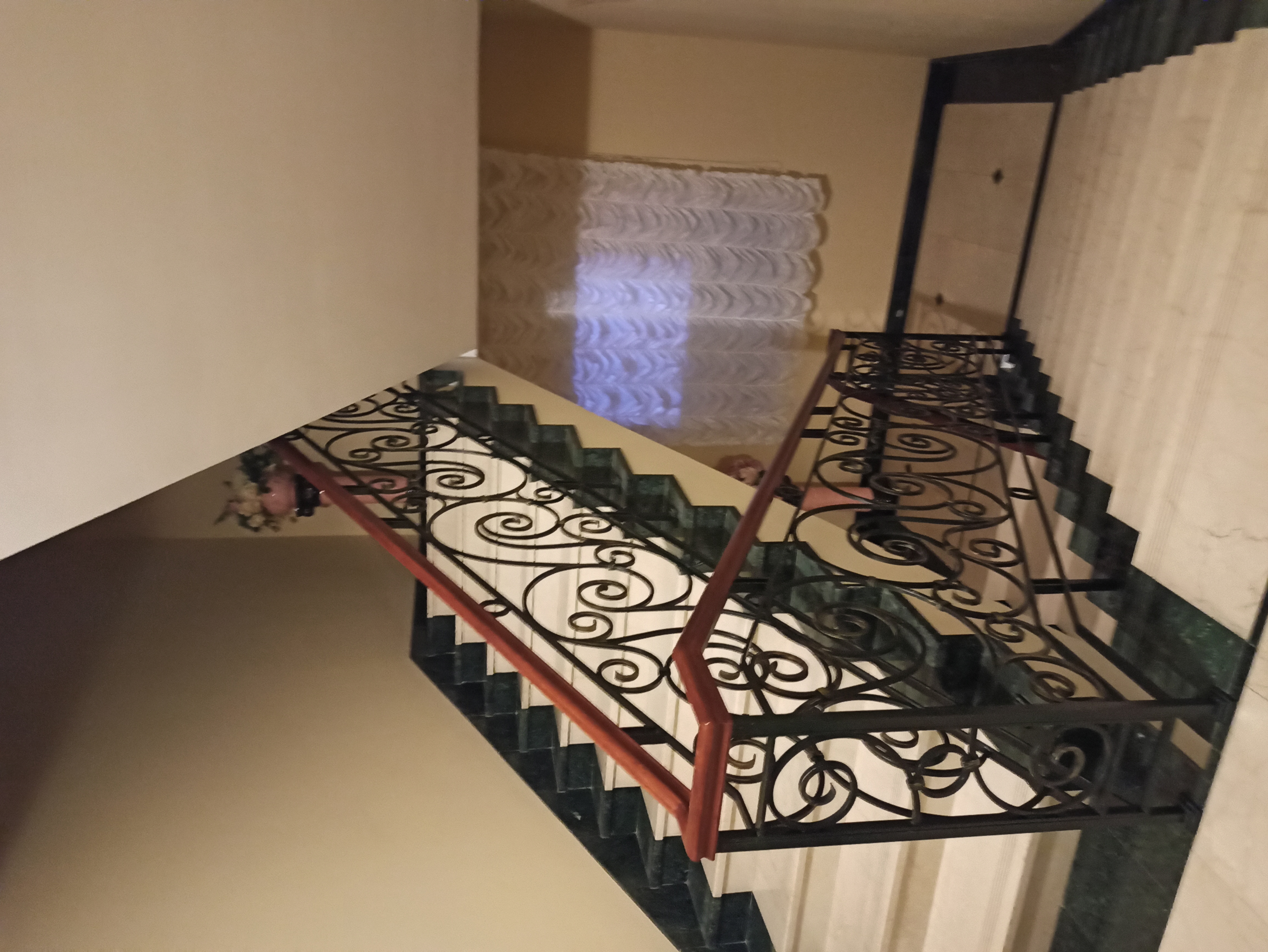 Фото Полярная звезда