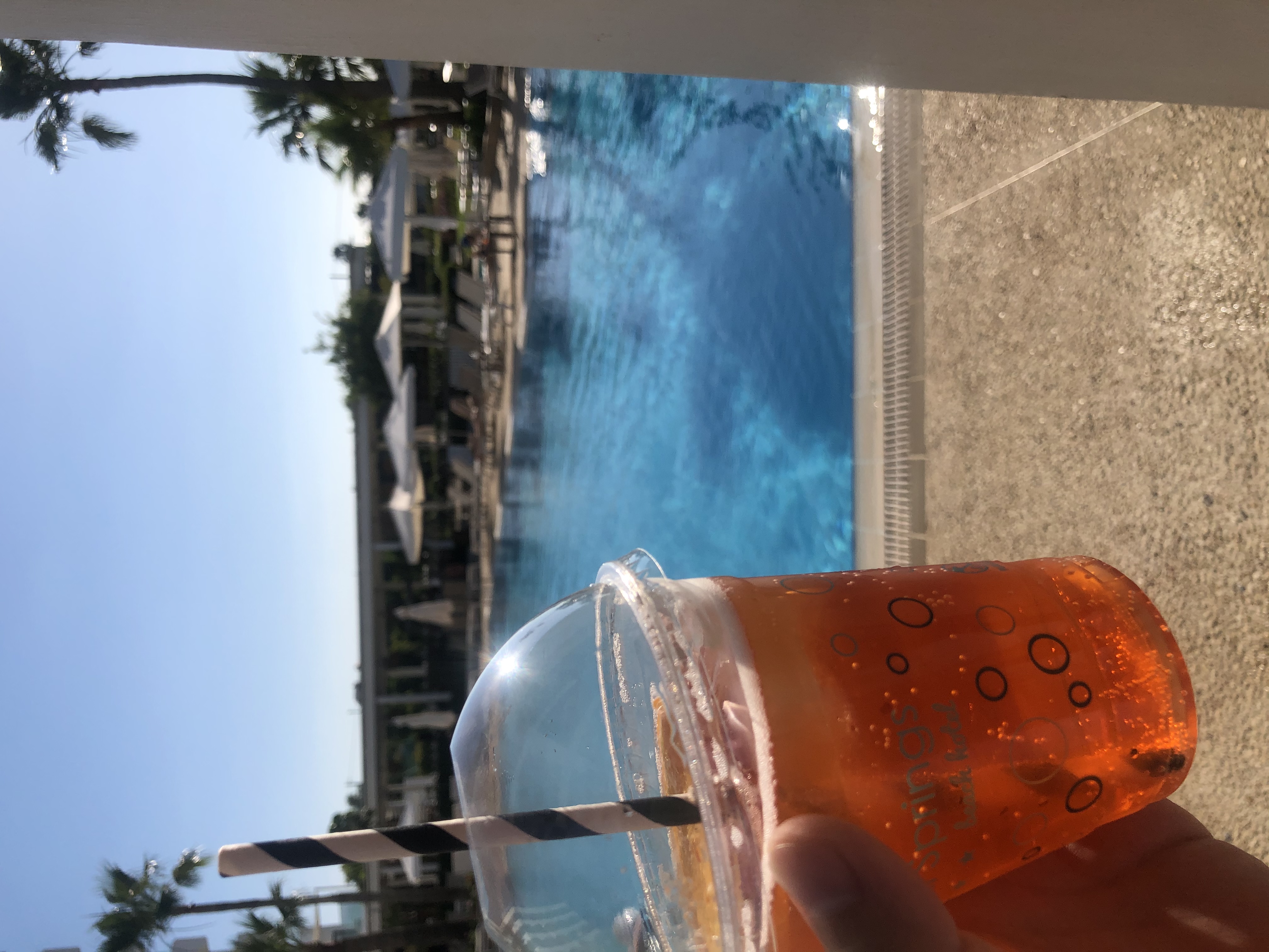 Фото Crystal Springs Beach Hotel