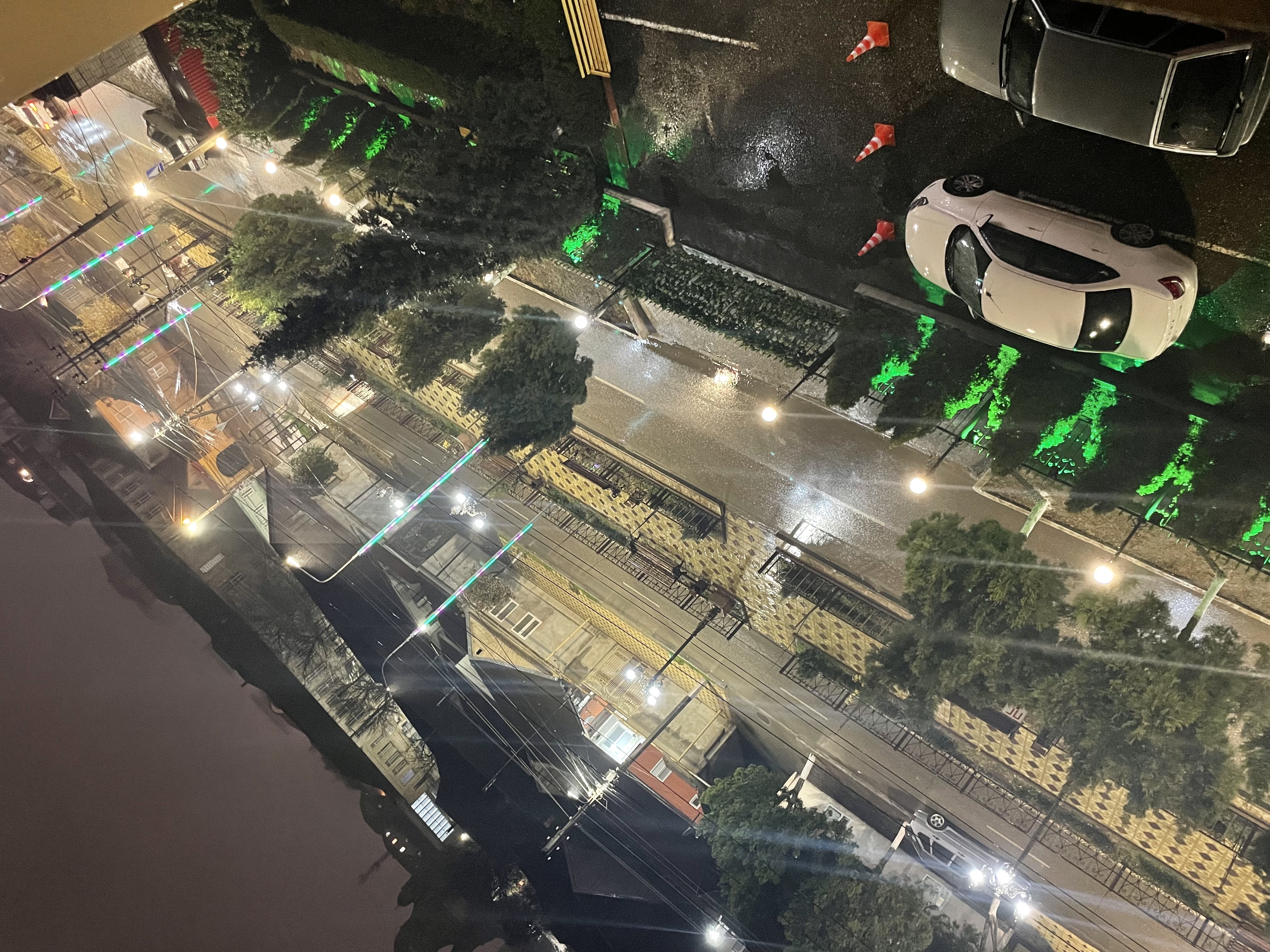 Фото Фламинго