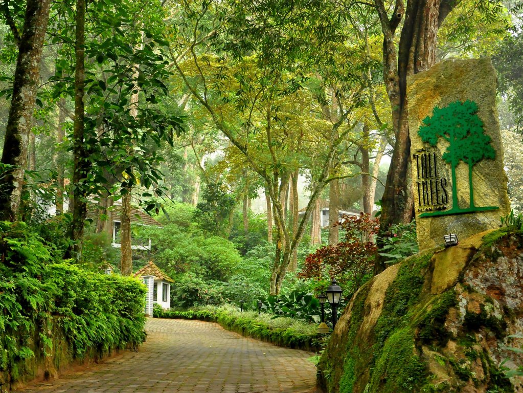 Фото The Tall Trees Munnar